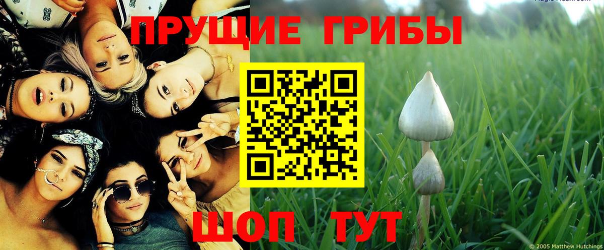 купить наркотик  Вход с VPN  Нижневартовск  Псилоцибиновые грибы Psilocybe 